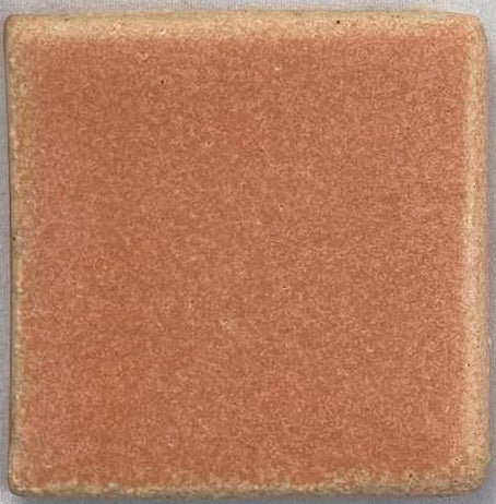 Coyote MBG242 Papaya Archie's Glaze