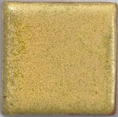 Coyote MBG243 Parakeet Yellow Archie's Glaze