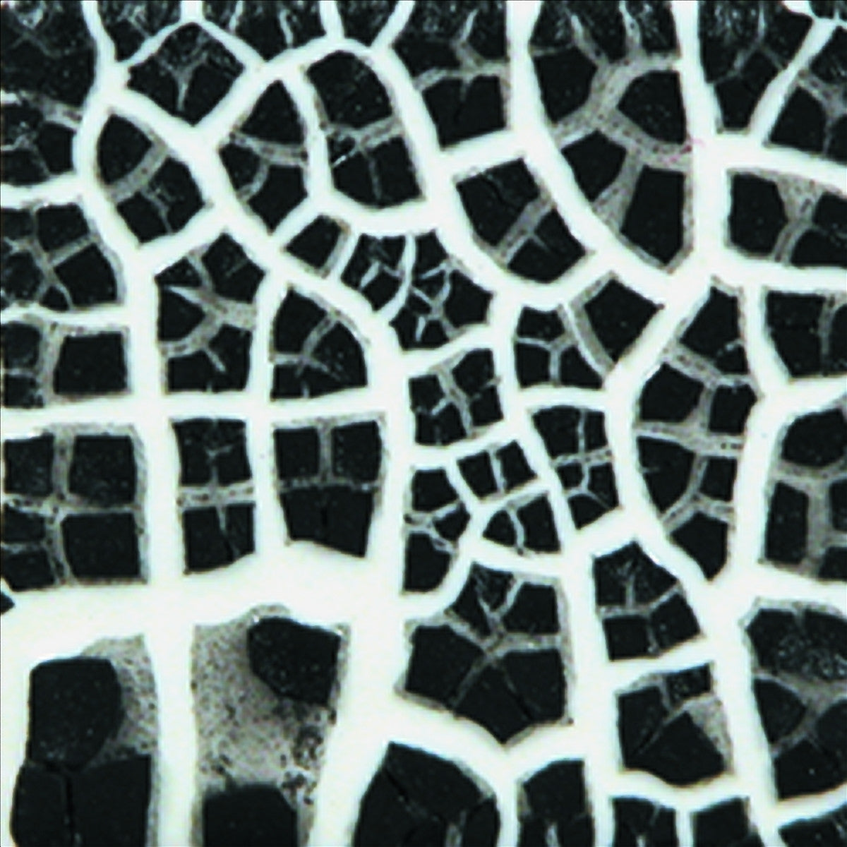 Mayco SG201 Black Cobblestone Glaze - Sounding Stone