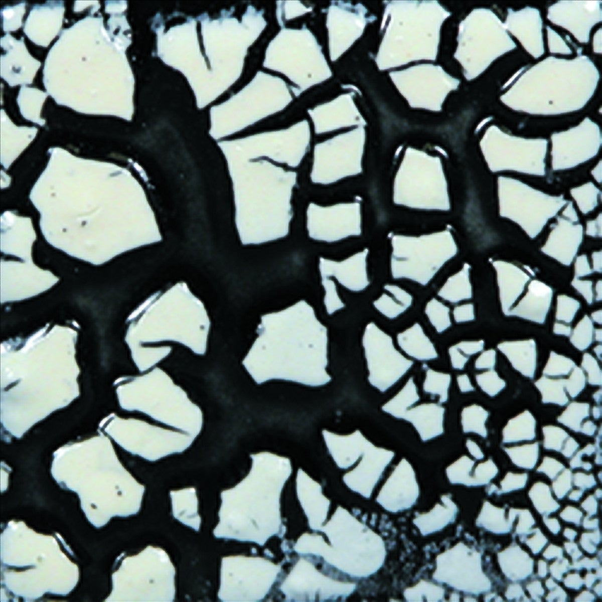 Mayco SG202 White Cobblestone Glaze - Sounding Stone