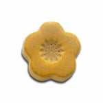 Spectrum 1403 Citron Shino Stoneware Glaze