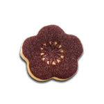 Spectrum Shino Stoneware Glazes - Sample Pack
