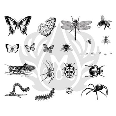 Mayco DSS113 Bugs Designer Silkscreen