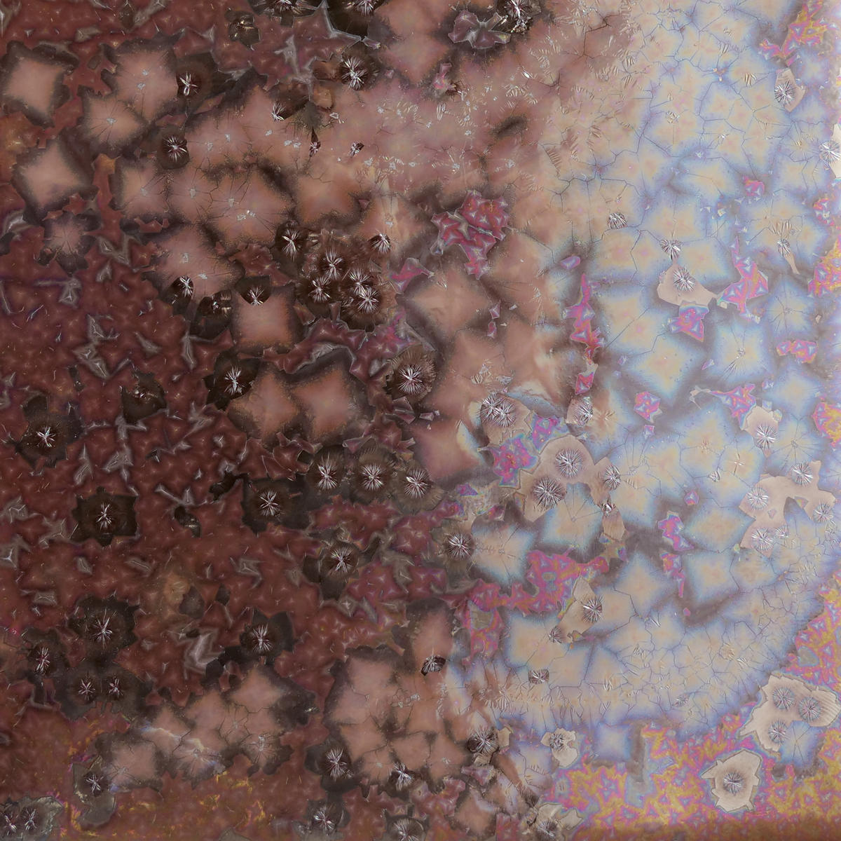 Amaco CO14 Solar Rainbow Cosmos Glaze, Pint