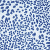 Amaco Crawl Glaze CR20 Dark Blue, Pint