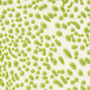 Amaco Crawl Glaze CR41 Lime, Pint