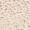 Amaco Crawl Glaze CR51 Speckled Pink, Pint