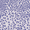 Amaco Crawl Glaze CR54 Purple, Pint