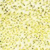 Amaco Crawl Glaze CR61 Speckled Yellow, Pint