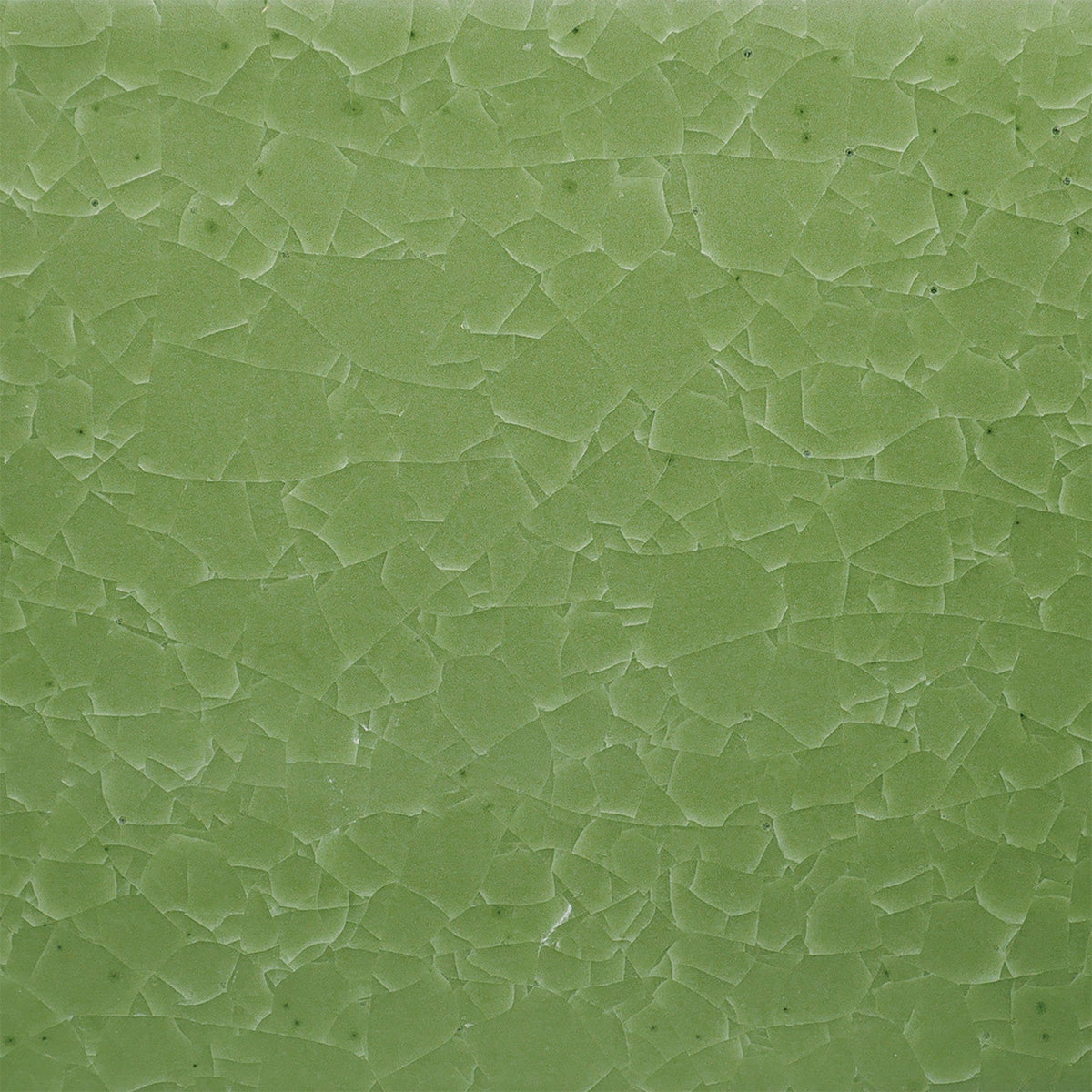 Amaco Kiln Ice Glaze KI-46 Frozen Fern, Pint