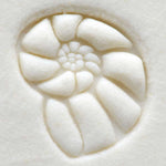 MKM Tools Scs021 Small Round Stamp - Nautilus
