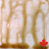 Spectrum 1422 Fig Ash Stoneware Glaze