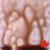 Spectrum 1423 Coffee Bean Ash Stoneware Glaze