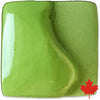 Spectrum 525 Lime Green Opaque Underglaze