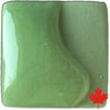 Spectrum 556 Light Green Opaque Underglaze