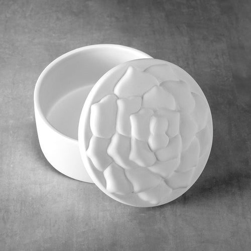 Duncan - 37487 Bisque Succulent Box #1 - Sounding Stone