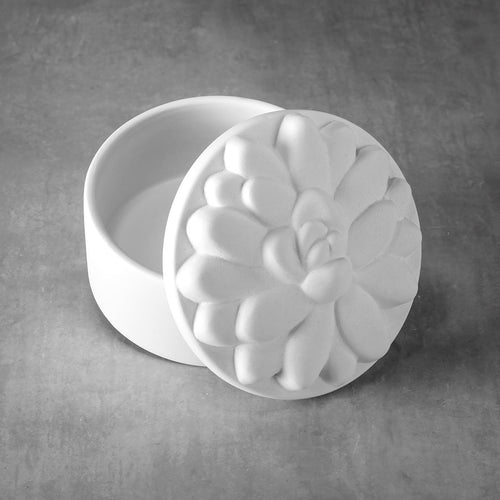Duncan - 37488 Bisque Succulent Box #2 - Sounding Stone