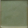 Coyote MBG183 Deep Avocado Enduro-Color Glaze