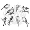Mayco DSS108 Aviary Small Birds Designer Silkscreen