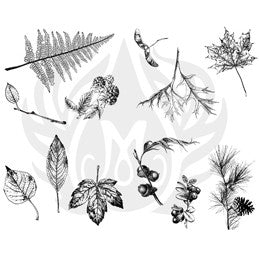 Mayco DSS-111 Botanical Leaves Designer Silkscreen - Sounding Stone