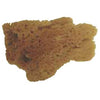 Elephant Ear Natural Sea Sponge