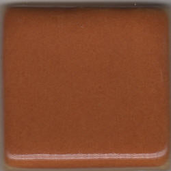 Coyote MBG006 Cinnamon Stick Gloss Glaze