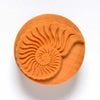MKM Tools Scl002 Large Round Stamp - Nautilus