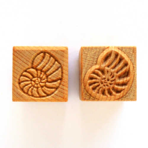 MKM Tools Ssm121 Medium Square Stamp - Ammonite