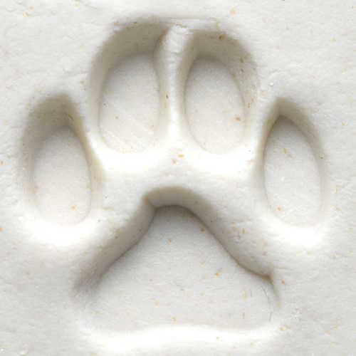MKM Tools Scm001 Medium Round Stamp - Dog Paw