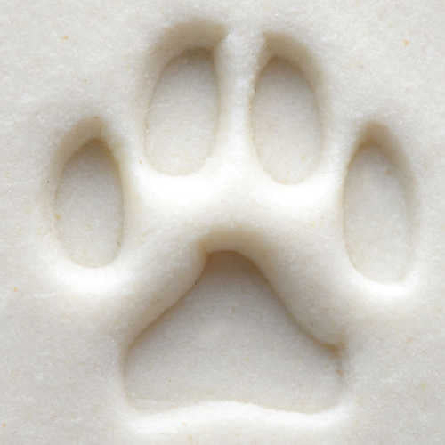 MKM Tools Scs001 Small Round Stamp - Paw Print