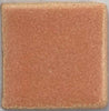 Coyote MBG242 Papaya Archie's Glaze