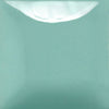 Mayco SC101 Spruce It Up Stroke & Coat Wonderglaze