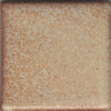 Coyote MBG089 Leopard Shino Glaze