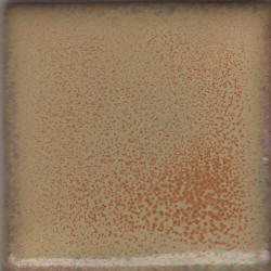 Coyote MBG173 Summer Spice Constellation Glaze