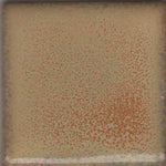 Coyote MBG173 Summer Spice Constellation Glaze
