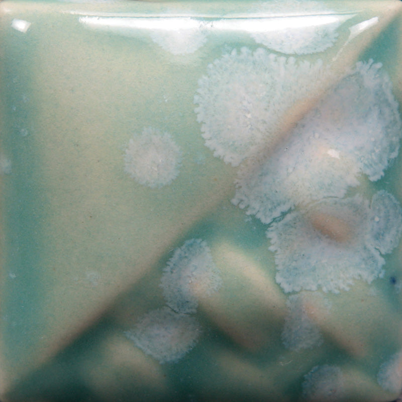 Mayco SW150 SD150 Celadon Bloom Stoneware Glaze