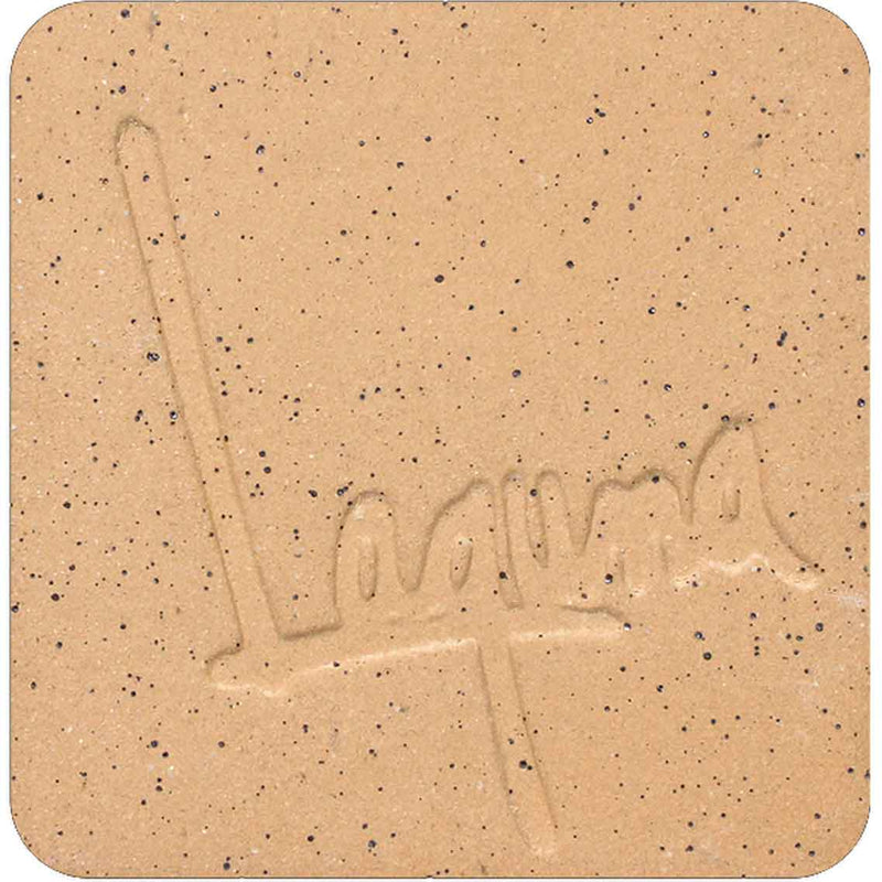 WC403 Speckled Buff Laguna Clay, 22.68 kg