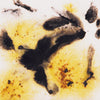 Mayco S2726 Cheetah Jungle Gem Crystalite Glaze