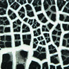 Mayco SG201 Black Cobblestone Glaze